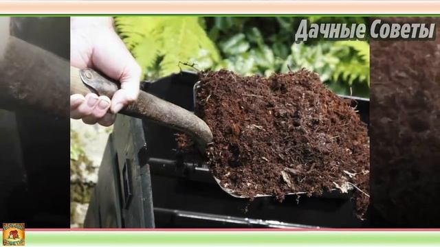 Очень ВАЖНЫЕ моменты Осенняя посадка КЛУБНИКИ по всем правилам Дачные советы и РЕКОМЕНДАЦИИ смотреть онлайн