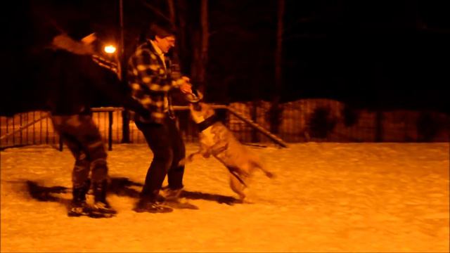 АСТ Тайсон на защите - шикарная атака! смотреть онлайн