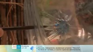 Как сохранить в целости до весны луковицы тюльпанов