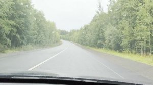 Как проехать лучше в Forest Symphony