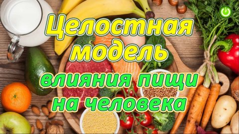 Целостная модель влияния пищи на человека, Евгений Агафонов (опыт проекта "Живая Пища") (видео 244)