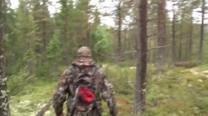 Охота на белую куропатку. Охотничьи приключения в Норвегии / NORDIC WILD HUNTER (Охотник и рыболов)