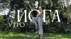 Йога 25 минут | свежее утро | йога для начинающих и продолжающих | утренняя йога