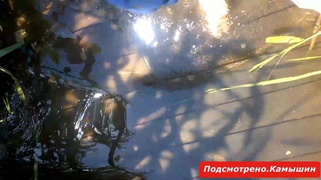 Камышин. Прошёл пешком через понтонный мост)