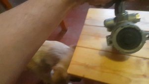 новый насос гур нексия