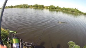 Рыбацкая Артель. Кострома. Взяли подругу на рыбалку