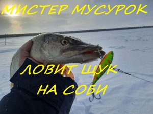 Мистер Мусурок ловит щук на Соби.