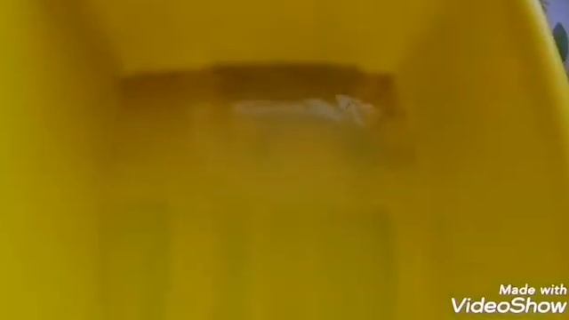 Как мы развлекаем себя в карантин. Чем занимаются дети. смотреть онлайн