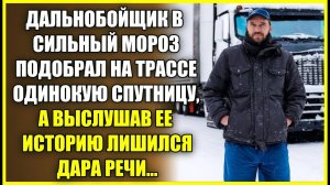 Дальнобойщик в СИЛЬНЫЙ мороз подобрал на трассе спутницу, а выслушав ее историю лишился дара речи.