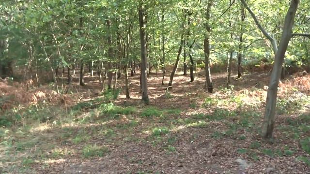 МЕГА-МАРШ .... 27 км за 5 часов !!!! .... смотреть онлайн