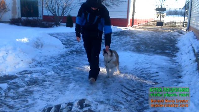АЛАБАЙЧИКИ ПЕРВЫЕ ШАГИ В ОКД смотреть онлайн