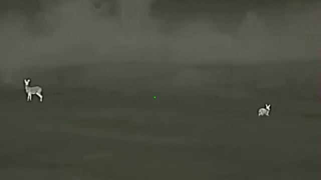 Заяц и Коза. IRAY SAIM SCT 35 смотреть онлайн