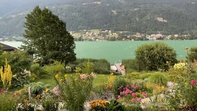 Решительные лебеди выручают птенцов! смотреть онлайн