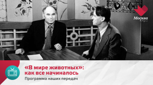 «В мире животных» | Программа наших передач