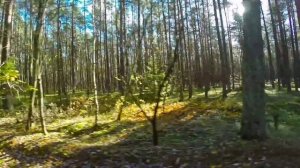 Обязательно попросите Вселённую и она вас услышит. | Тайна Жрицы |