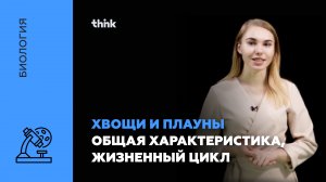 Хвощи и плауны.  Общая характеристика, жизненный цикл | Биология