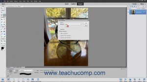 Photoshop Elements 2021 Tutorial Saving and Loading Selections Adobe Training