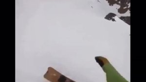 ой ой ой собака ты куда персик персик может обратно