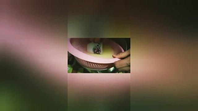 Сыр Качотта. Самый подробный обзор приготовления.