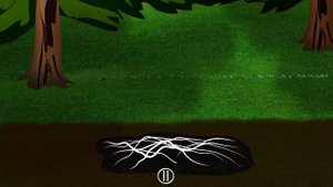 Строение гриба