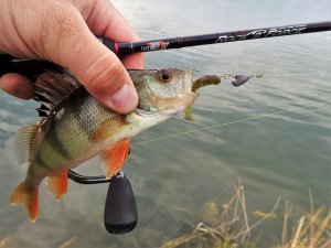 С Рыбалкой по Жизни. Снасть для Ловли Окуней.