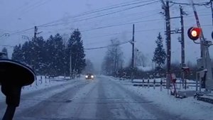 Уступи дорогу?