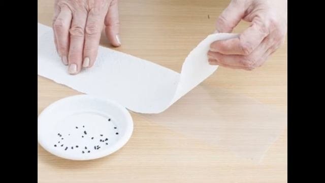 Отличные бюджетные идеи для обустройства дачи своими руками