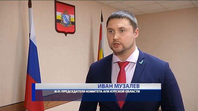 Фото мусьял курск биография Подведены итоги "Золотой осени" - смотреть видео онлайн от "Универсальные аппара