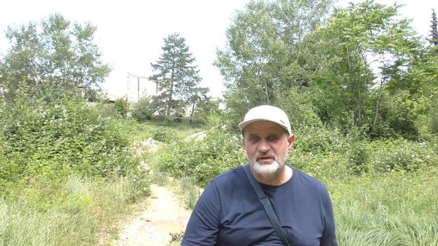 Дорога в Сигнахи. Новые приключения. Квест по поиску жилья в зарослях ежевики.