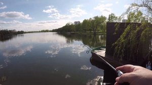 Мормышинг в Южном Бутово, Черневские пруды