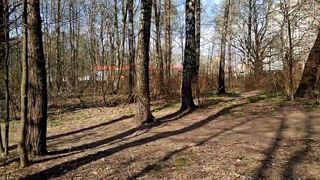 Вышли в лес прогуляться .. смотреть онлайн