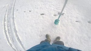 Рыбалка зимой на Свияге на судака и жерлицы!!!