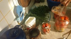Маринованные помидоры с морковной ботвой