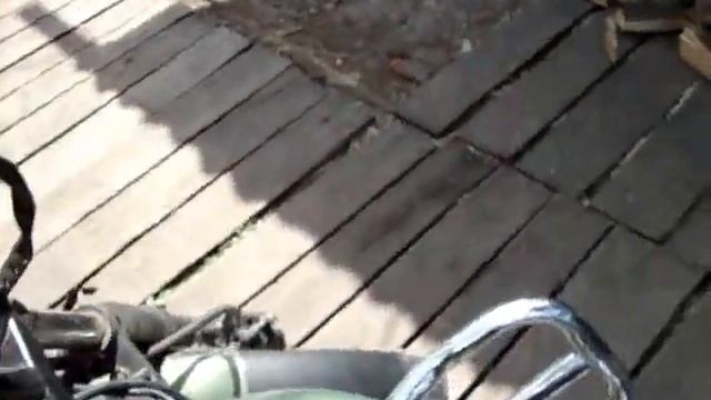 Racer Tiger смотреть онлайн