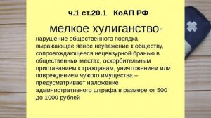 ПЕРЦОВЫЙ БАЛЛОНЧИК ОТВЕТСТВЕННОСТЬ И ПОСЛЕДСТВИЯ ПРИМЕНЕНИЯ