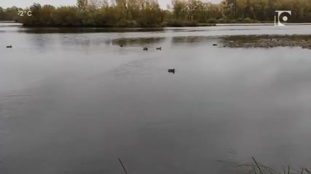 Смена логотипа (10 канал Новокузнецк | 22.03.2022 г.) смотреть онлайн