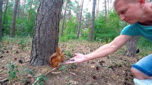 Рыжие-бесстыжие. Воронежские летающие грызуны