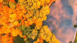 Прекрасная? Нежная Музыка?