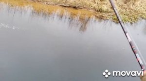 Бейткастинг и ХэвиМормышинг.