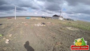 Уборка пленки и капли с поля 11 09 2015