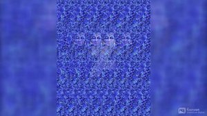 Движущиеся стереокартинки.