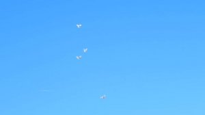 Белые голуби. пробный полёт.