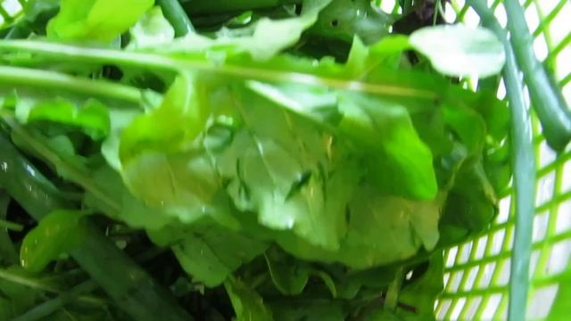 ЧТО ПОТОПАЕШЬ, ТО И ПОЛОПАЕШЬ ! смотреть онлайн