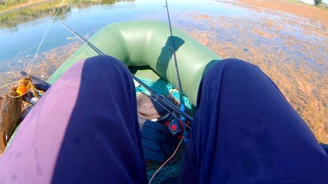 ЗМЕЕГОЛОВ Июль 2021 Чуй шорго смотреть онлайн