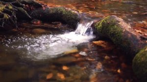 Wabi Sabi Stream By Music 4 Meditation in HD 1080p