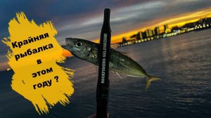 Крайняя рыбалка в этом году ?