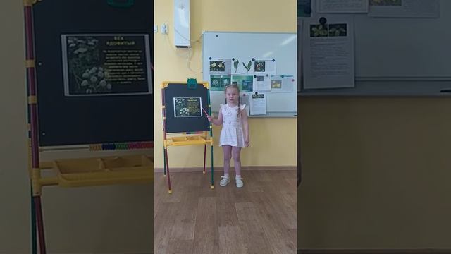 Реализация  мини - проект «Ядовитые растения».mp4