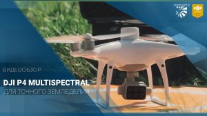 DJI P4 Multispectral - основной инструмент для анализа c х культур