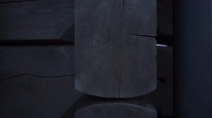 ОТЛИЧНЫЙ ПРОЕКТ Одноэтажного Дома! Дом из лафета с 3 Спальнями, Огромной Гостиной и Террасой