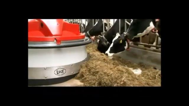 Пододвигатель кормов Джуно смотреть онлайн